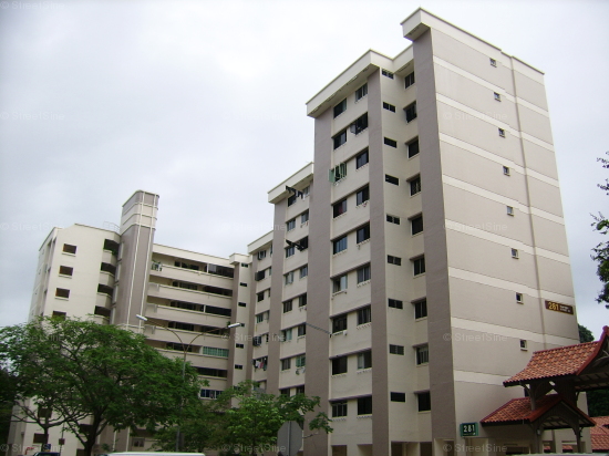 Blk 281 Tampines Street 22 (Toa Payoh), HDB 4 Rooms #100402